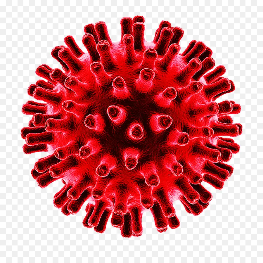 Virus，Penyakit Coronavirus 2019 PNG