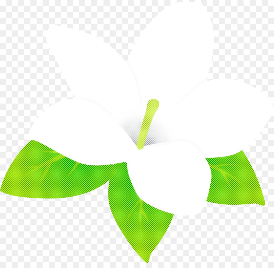 Logo，Daun PNG