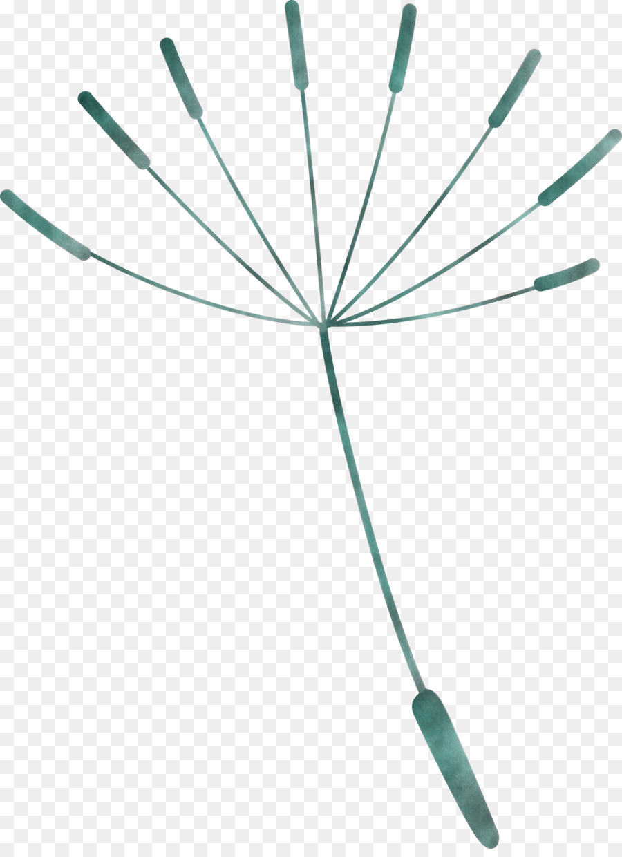 Benih Dandelion，Bunga PNG