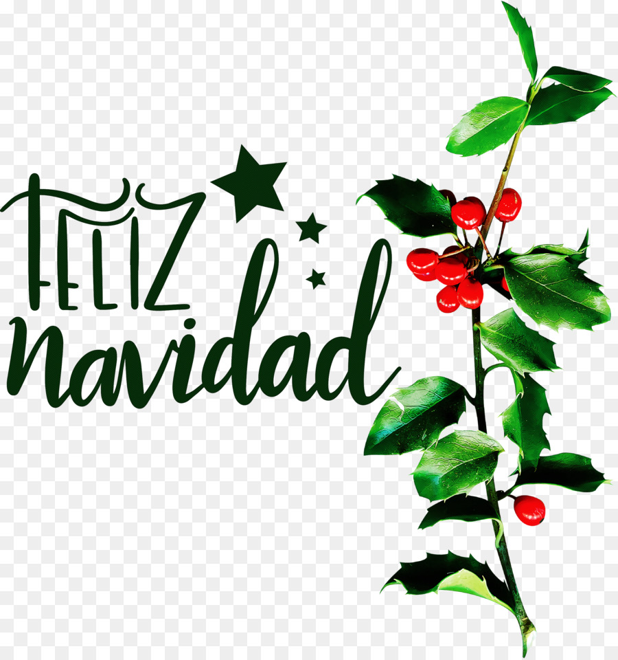 Feliz Navidad，Holly PNG