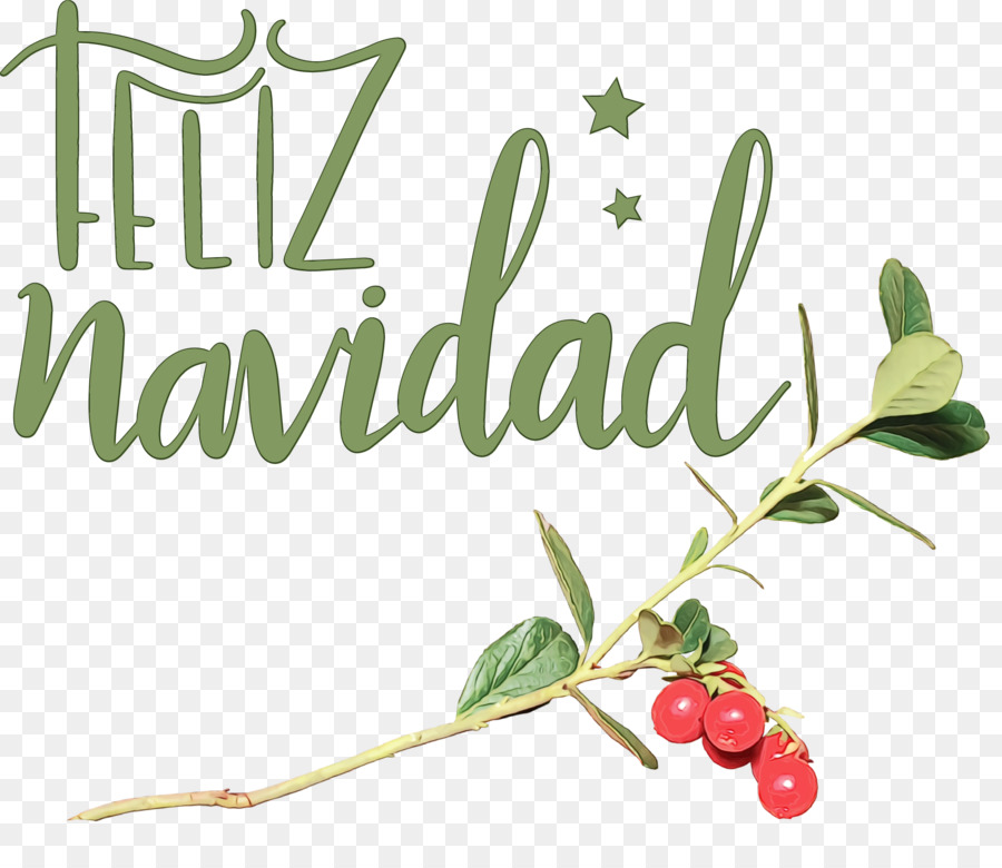 Feliz Navidad，Holly PNG