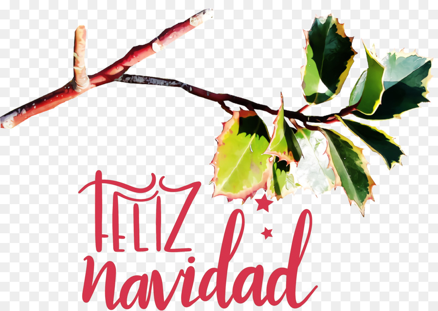 Feliz Navidad，Daun Daun PNG