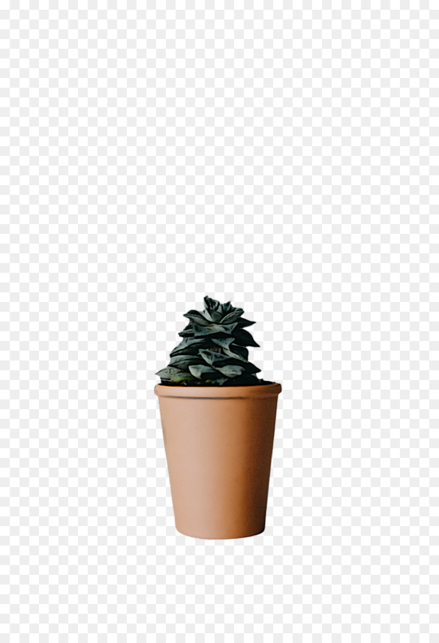 Houseplant， PNG