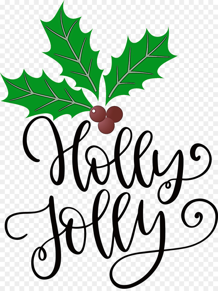 Holly，Daun PNG