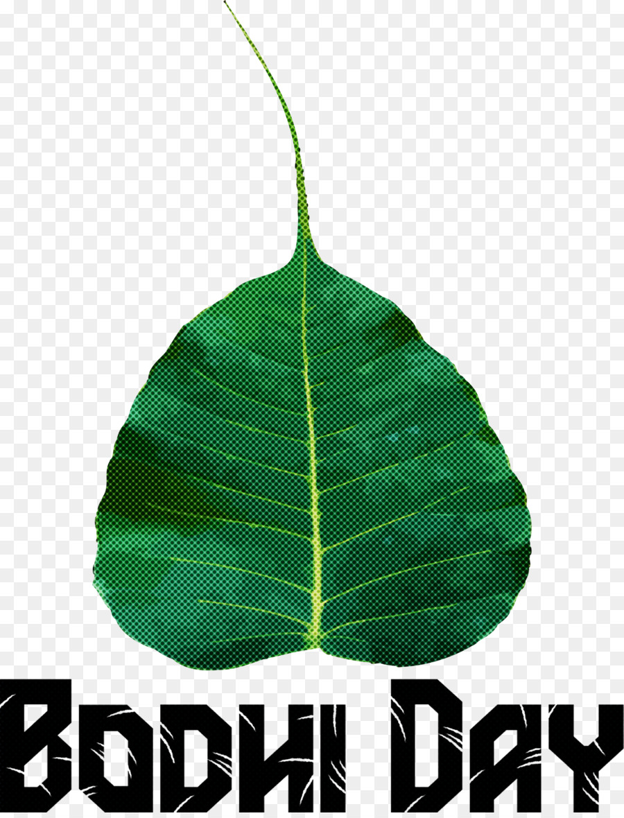 Daun，Meter PNG