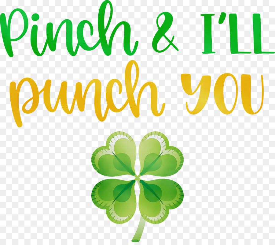 Shamrock，Semanggi PNG