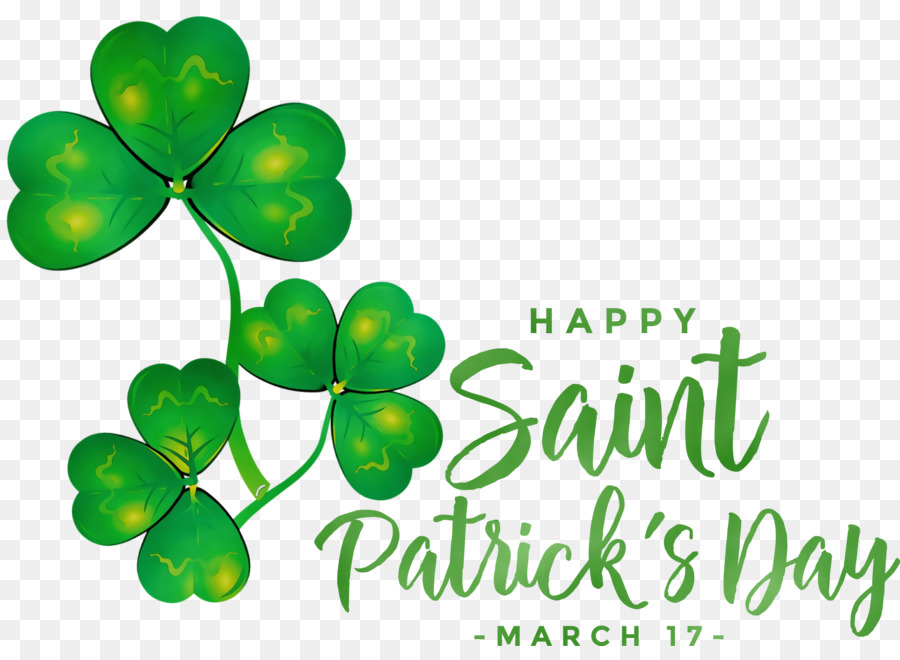 Hari Santo Patrick，Shamrock PNG