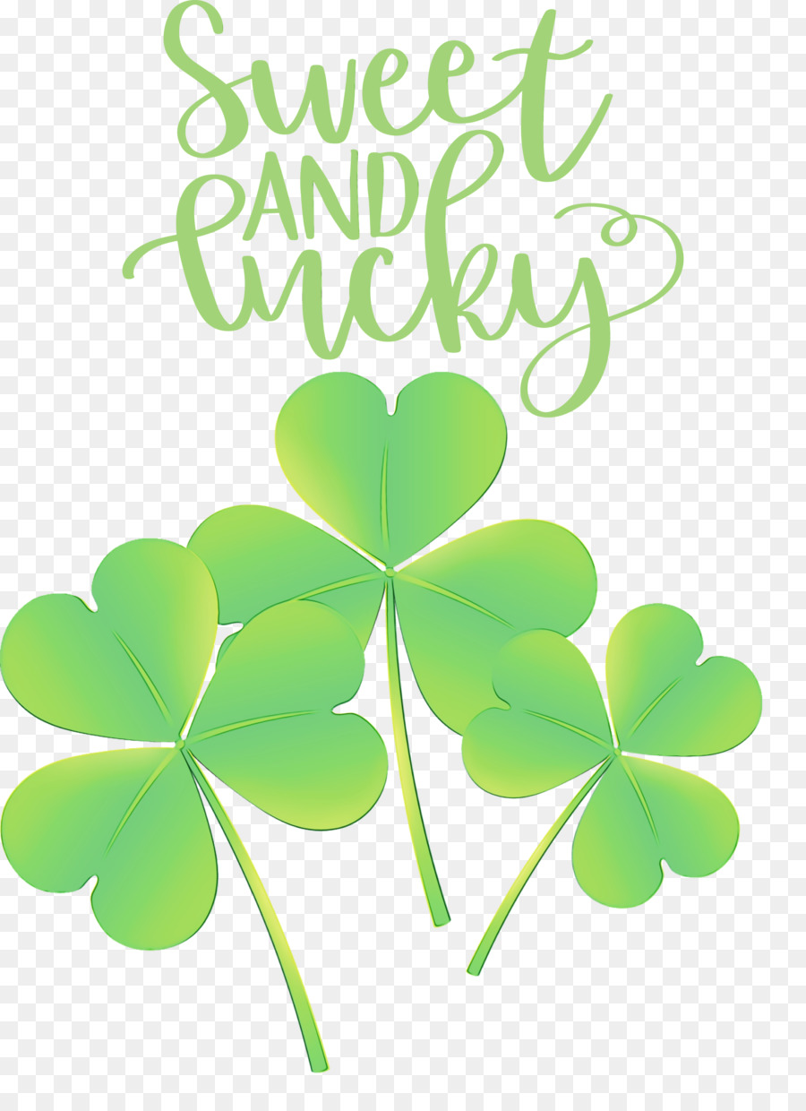 Daun，Shamrock PNG