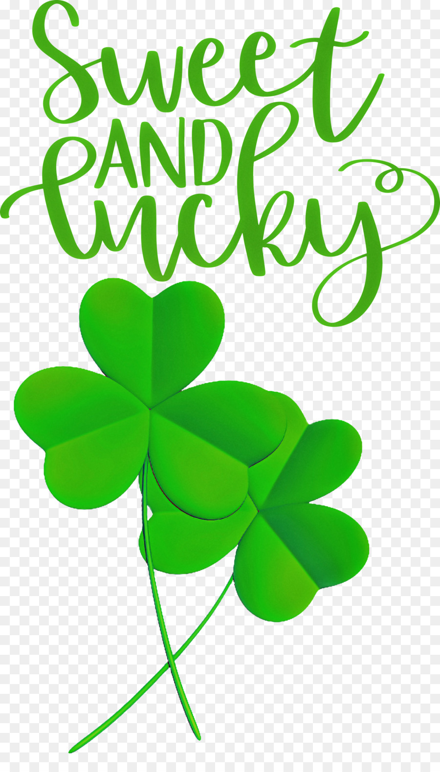 Saint Patricks Hari，Shamrock PNG