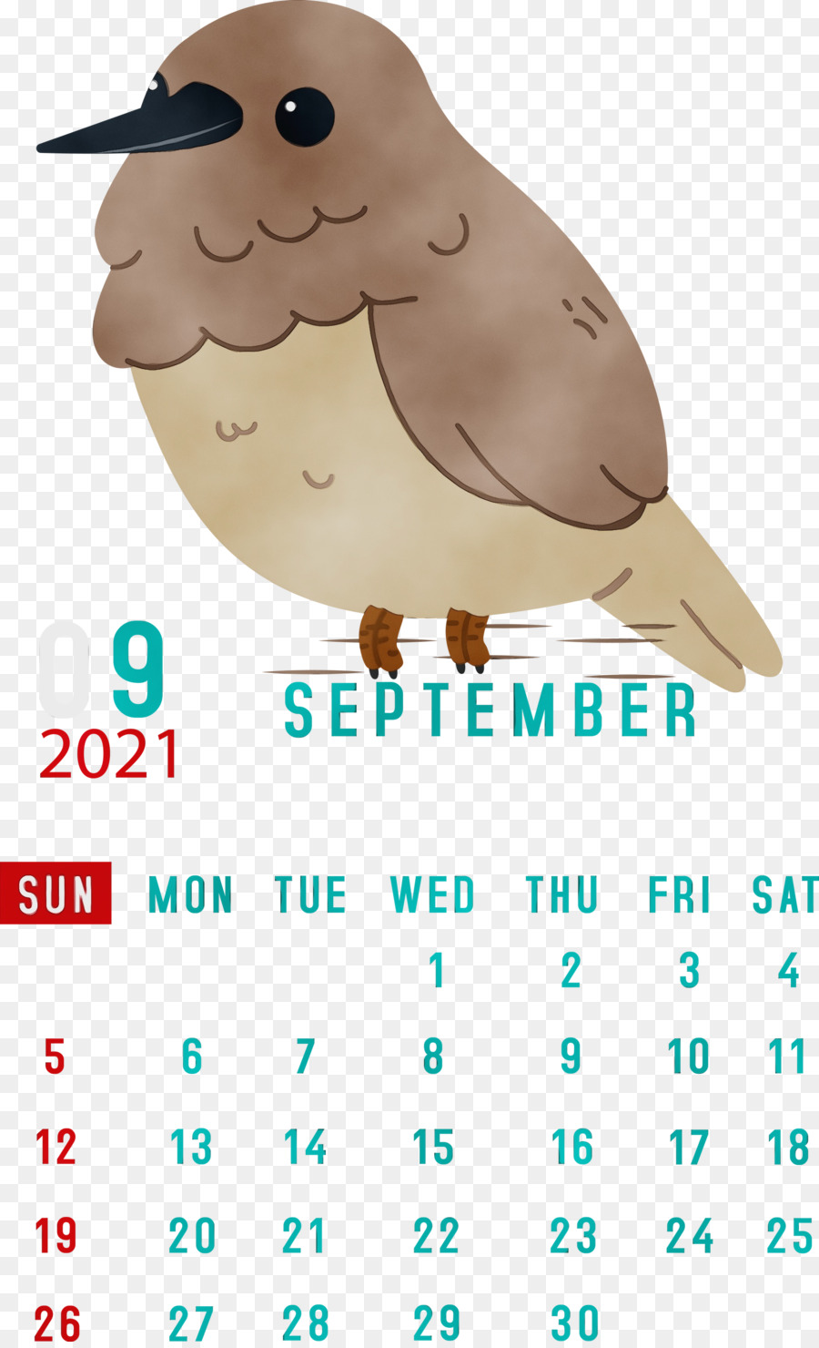 Kalender September，Burung PNG