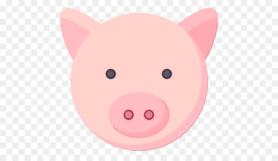 Babi，Anak Babi PNG