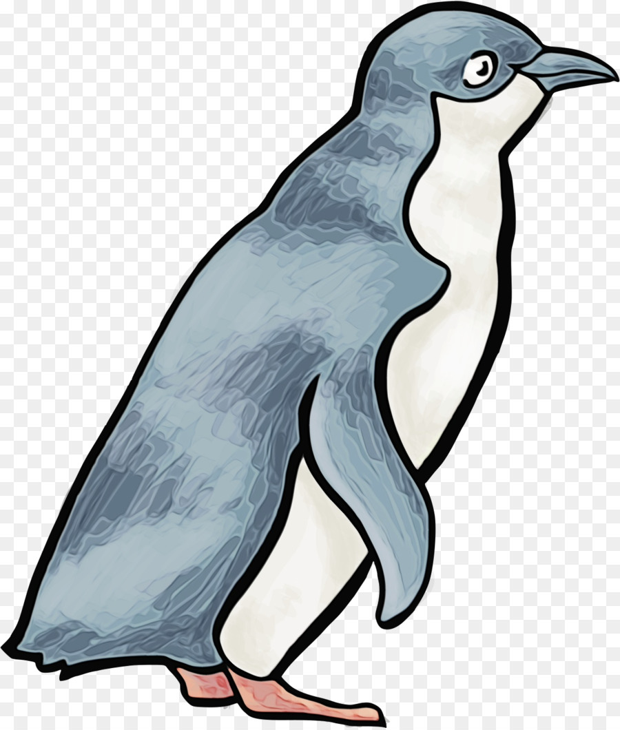 Penguin，Burung PNG