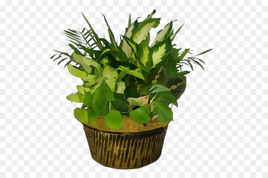 Daun，Pot Bunga PNG