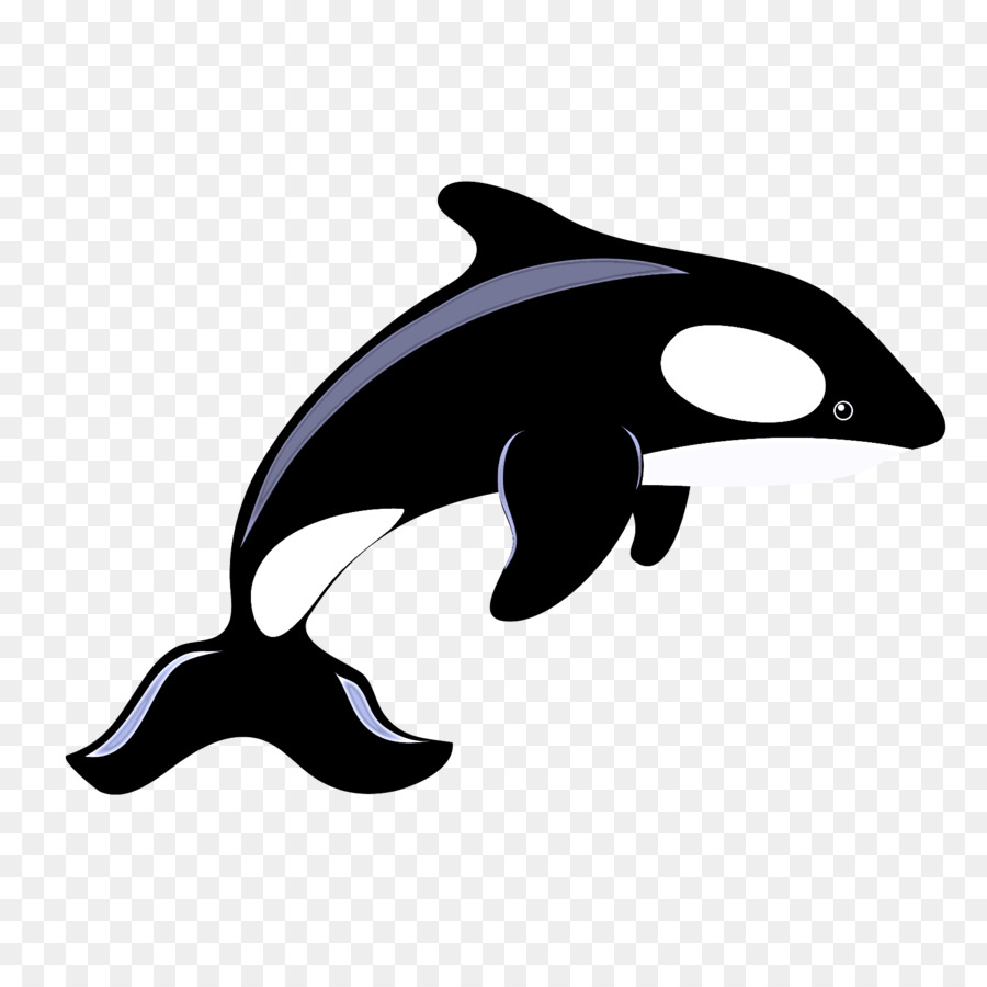 Orca，Paus PNG