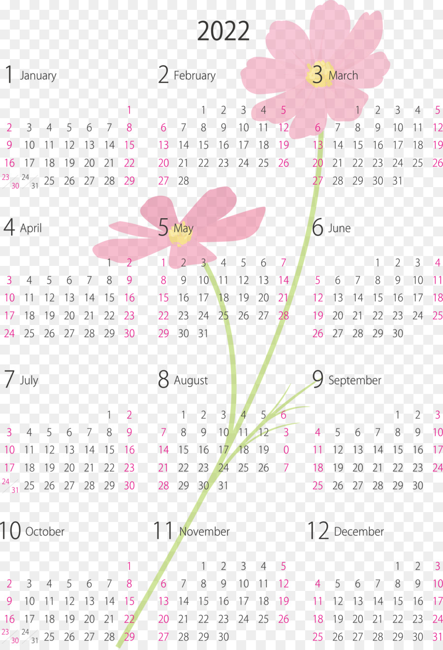 Kalender 2024，Tahun PNG