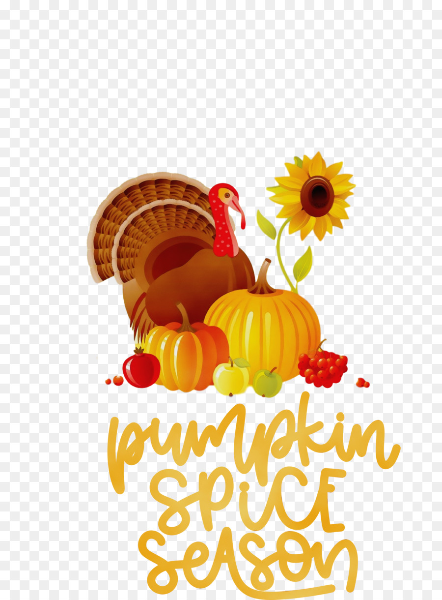 Infographic，Thanksgiving PNG