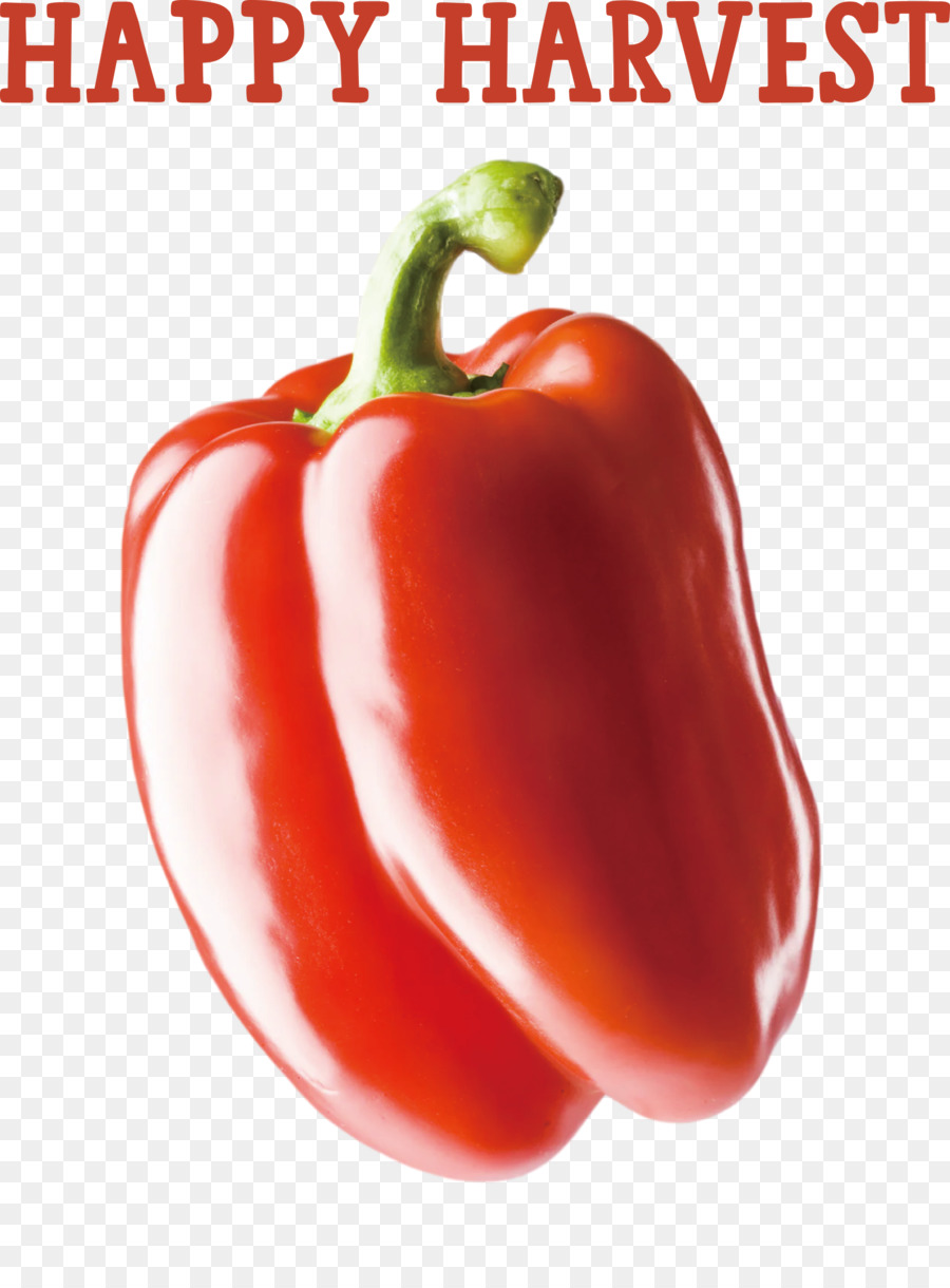 Paprika，Merah PNG