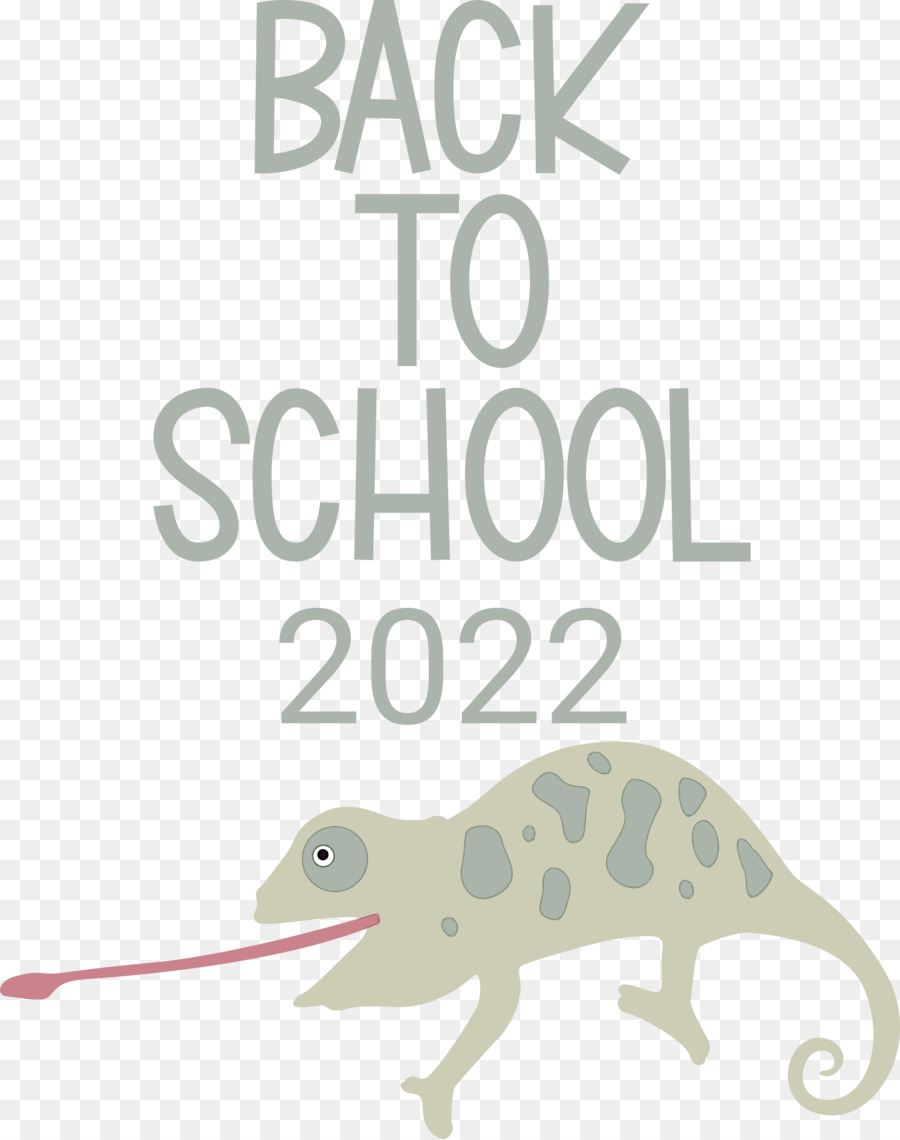 Kembali Ke Sekolah 2022，Bunglon PNG