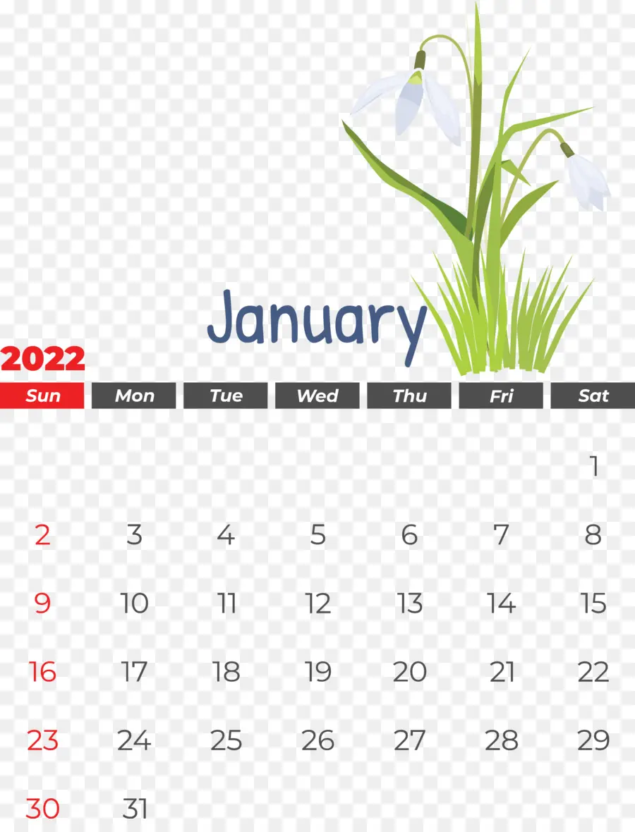 Kalender Januari，Bulan PNG