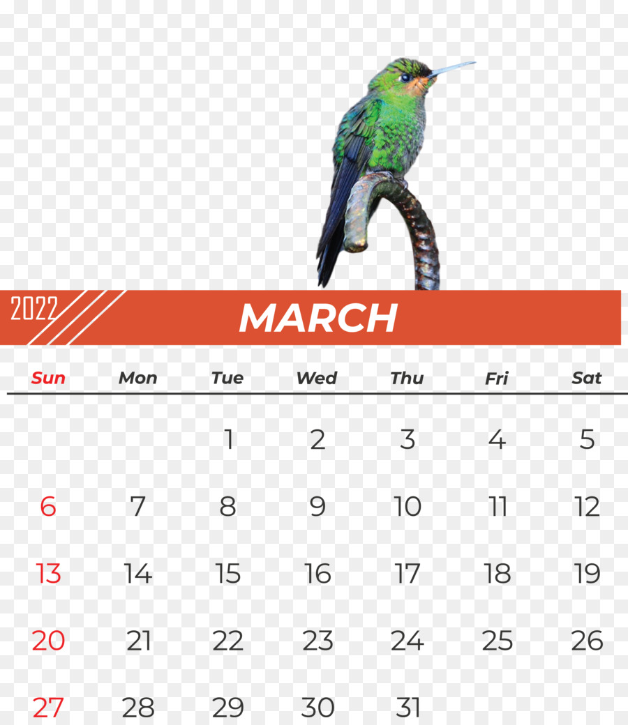 Burung，Kalender PNG