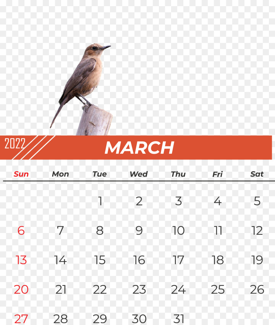 Kalender Maret，Bulan PNG