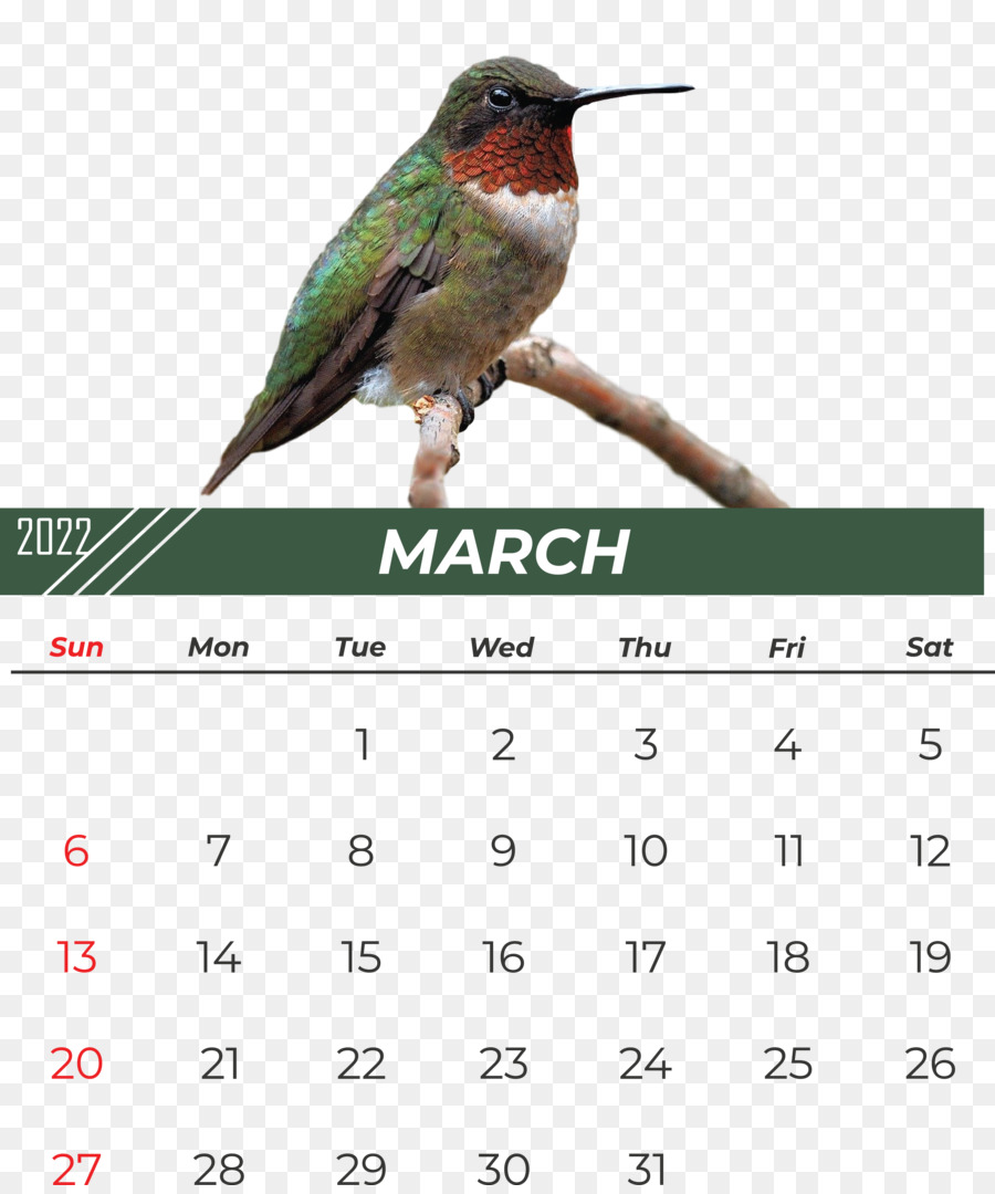 Kalender Maret，Bulan PNG