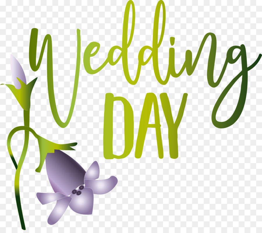 Undangan Pernikahan，Desain Bunga PNG