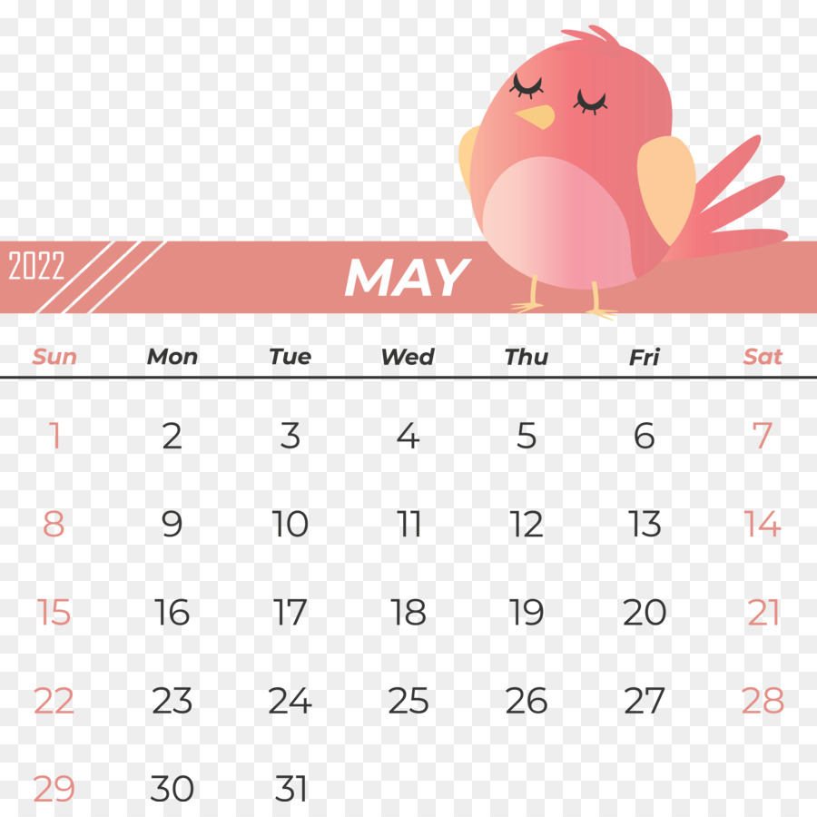 Garis，Kalender PNG