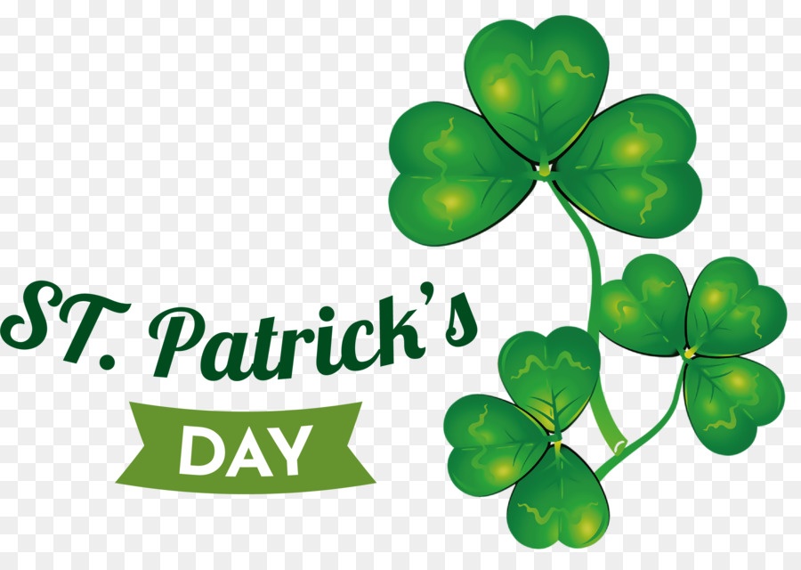 Shamrock，Semanggi PNG