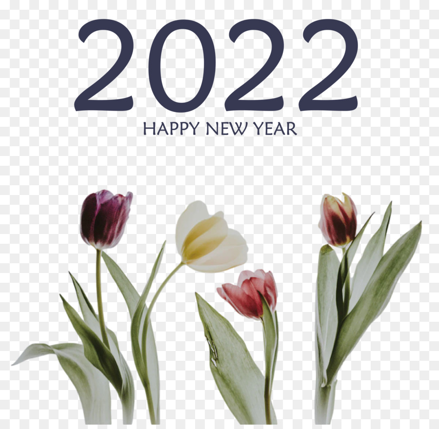 Tahun Baru，Revillon Cheers 2022 PNG
