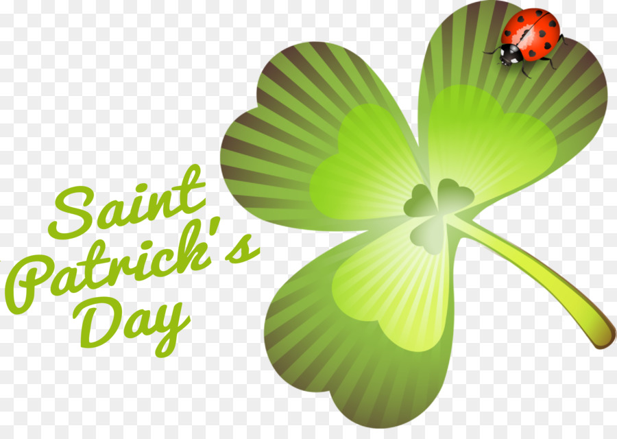 Hari Santo Patrick，Shamrock PNG