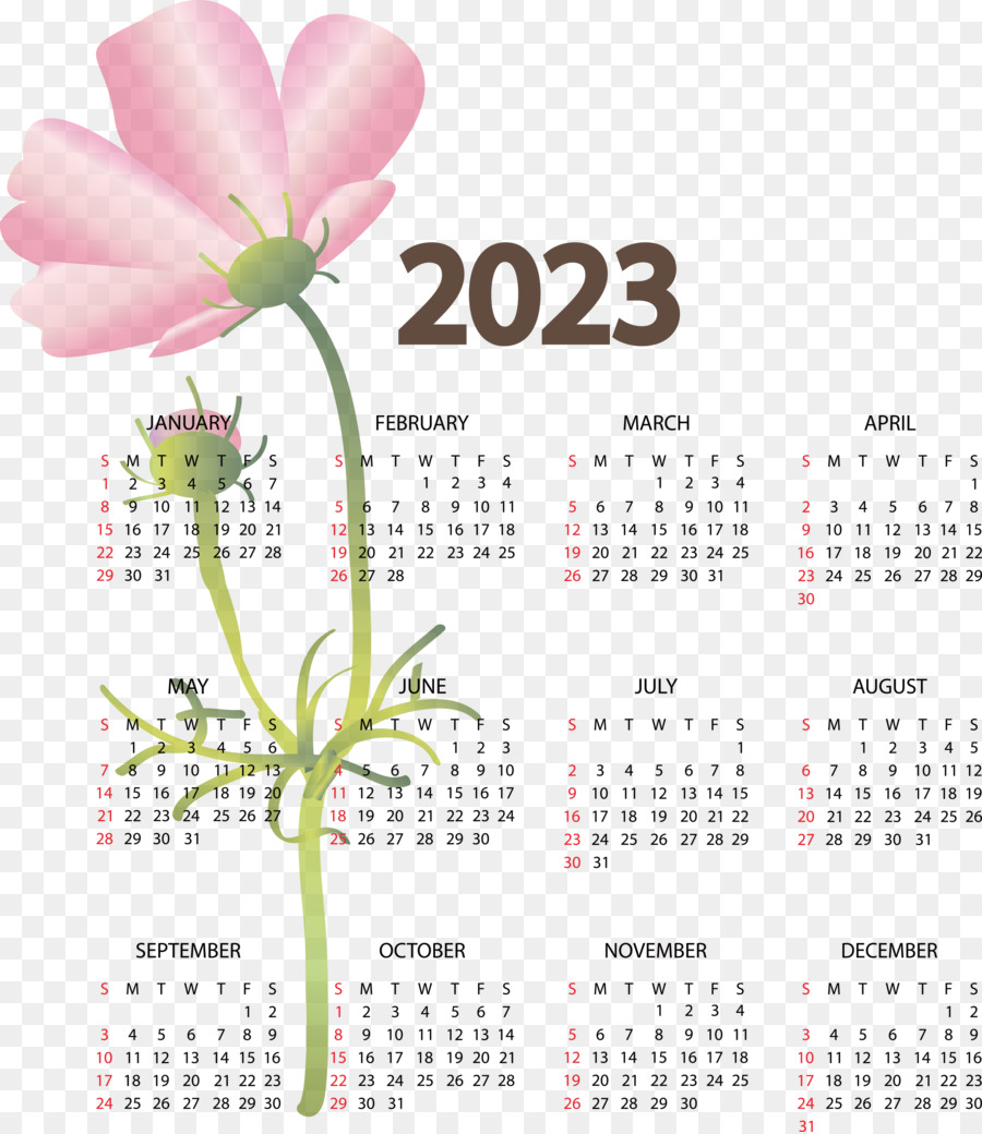 Kalender，Juni PNG