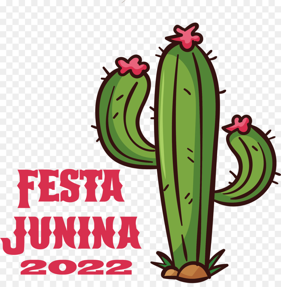 Pesta Junina，Kaktus PNG