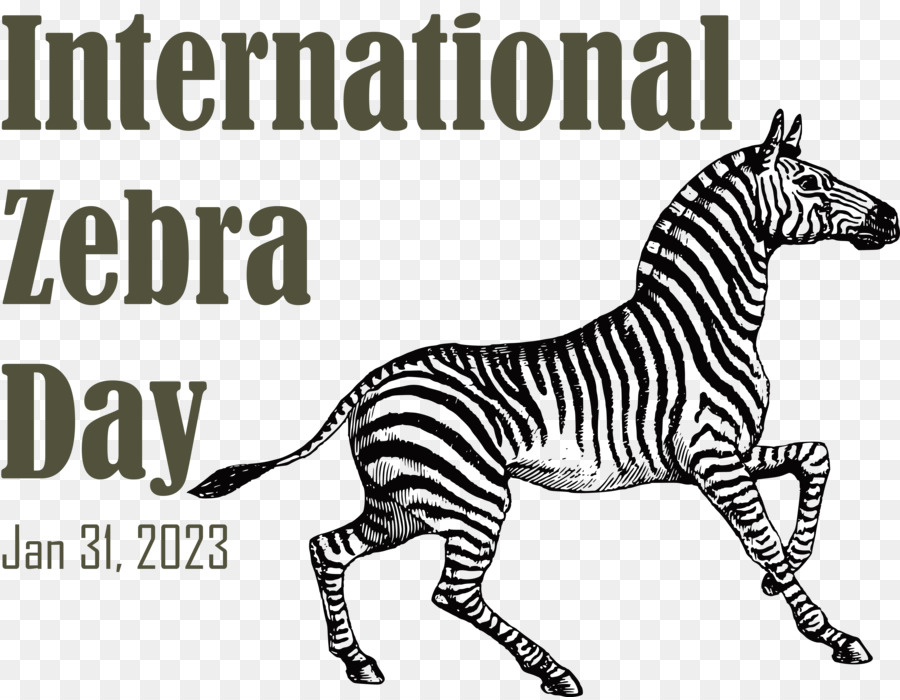 Hari Zebra Internasional， PNG