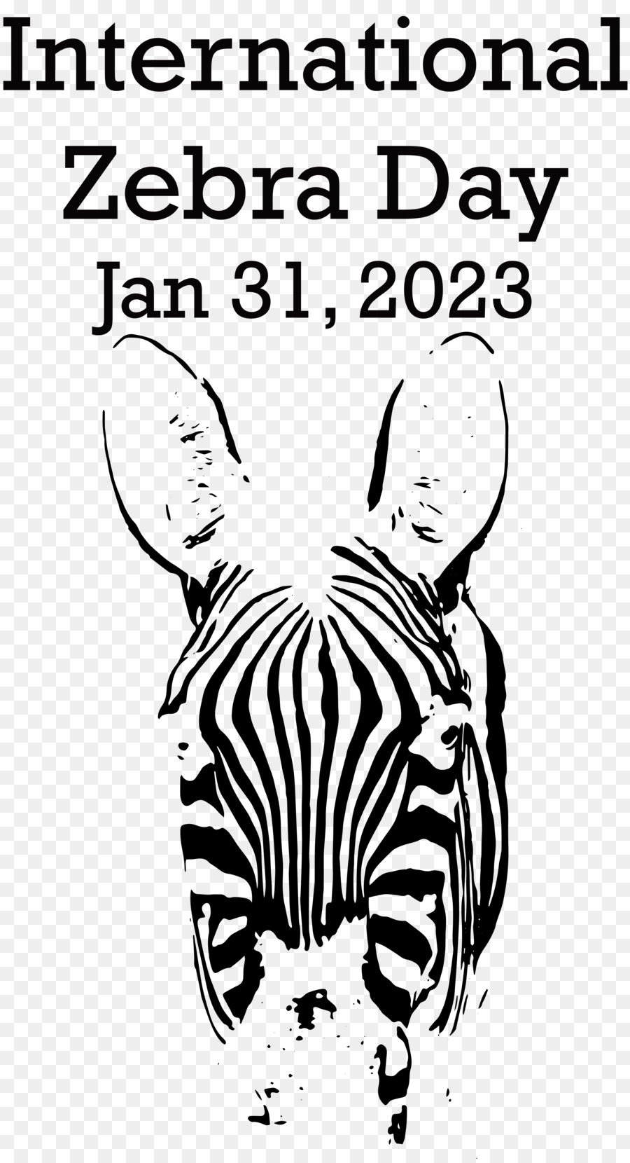 Hari Zebra Internasional，Zebra PNG