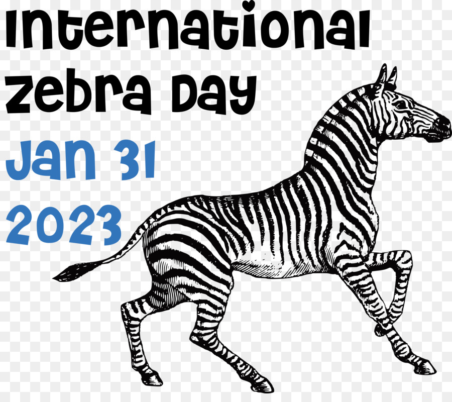 Hari Zebra Internasional， PNG