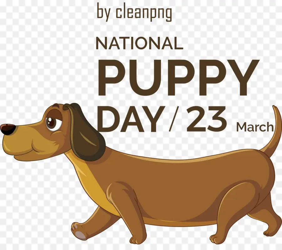Hari Anjing Nasional，Anjing Di Malam Hari PNG