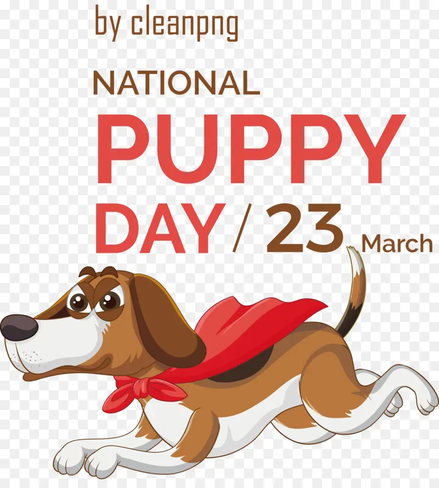 Hari Anjing Nasional，Anjing Di Malam Hari PNG