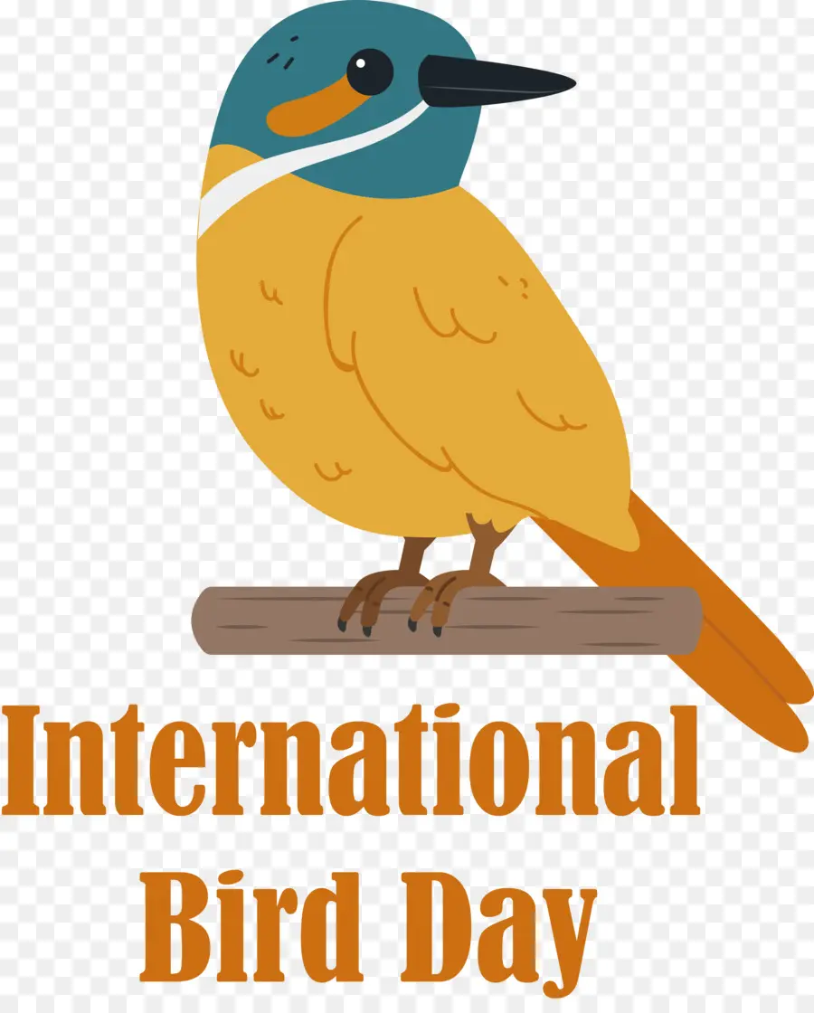 Hari Burung Internasional，Burung PNG