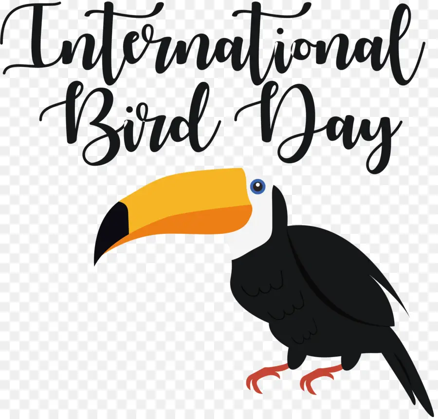 Hari Burung Internasional，Burung Toucan PNG