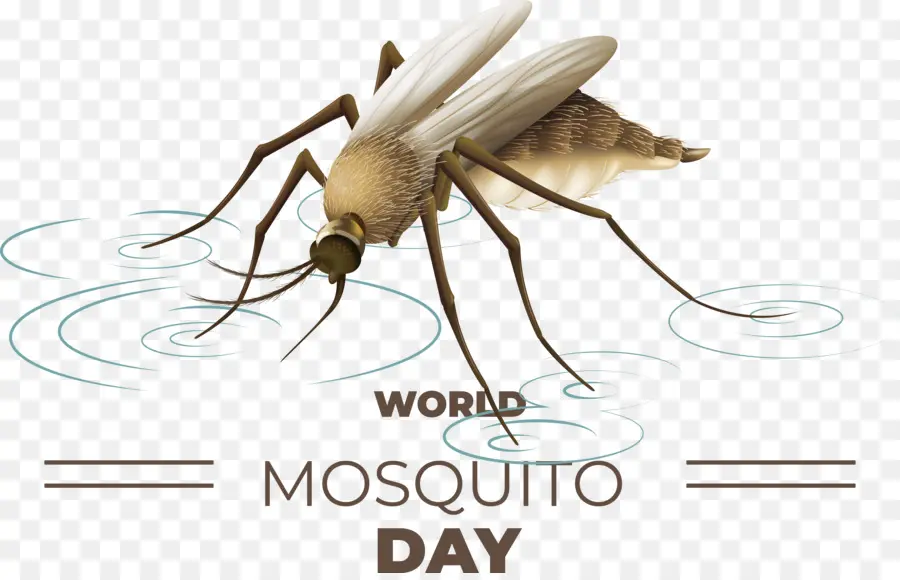 Hari Malaria Dunia，Hari Malaria PNG