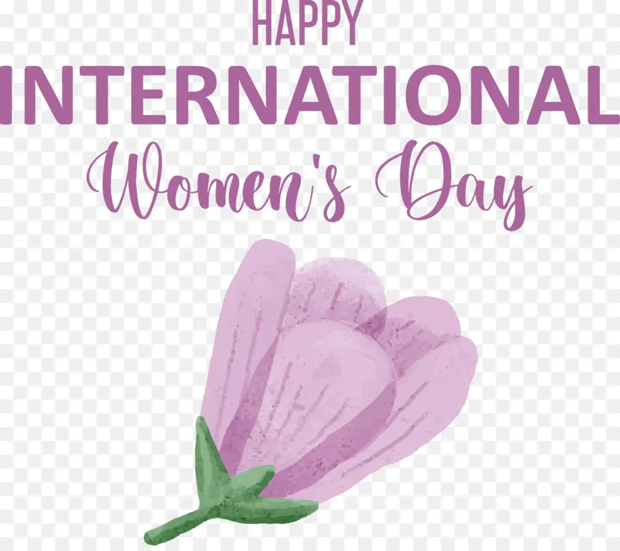Womens Hari，Hari Wanita Internasional PNG