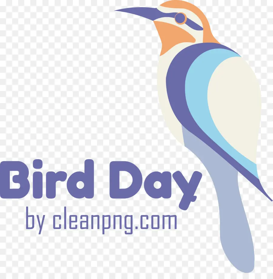 Hari Burung Internasional，Burung Di Malam Hari PNG