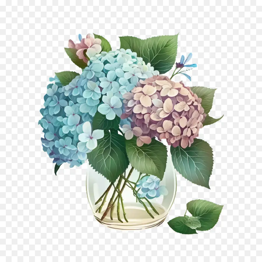 Hydrangea，Vas PNG