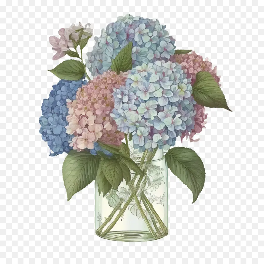 Hydrangea，Vas PNG