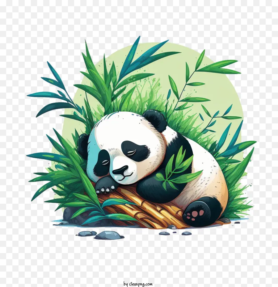 Lucu Panda，Panda Tidur PNG