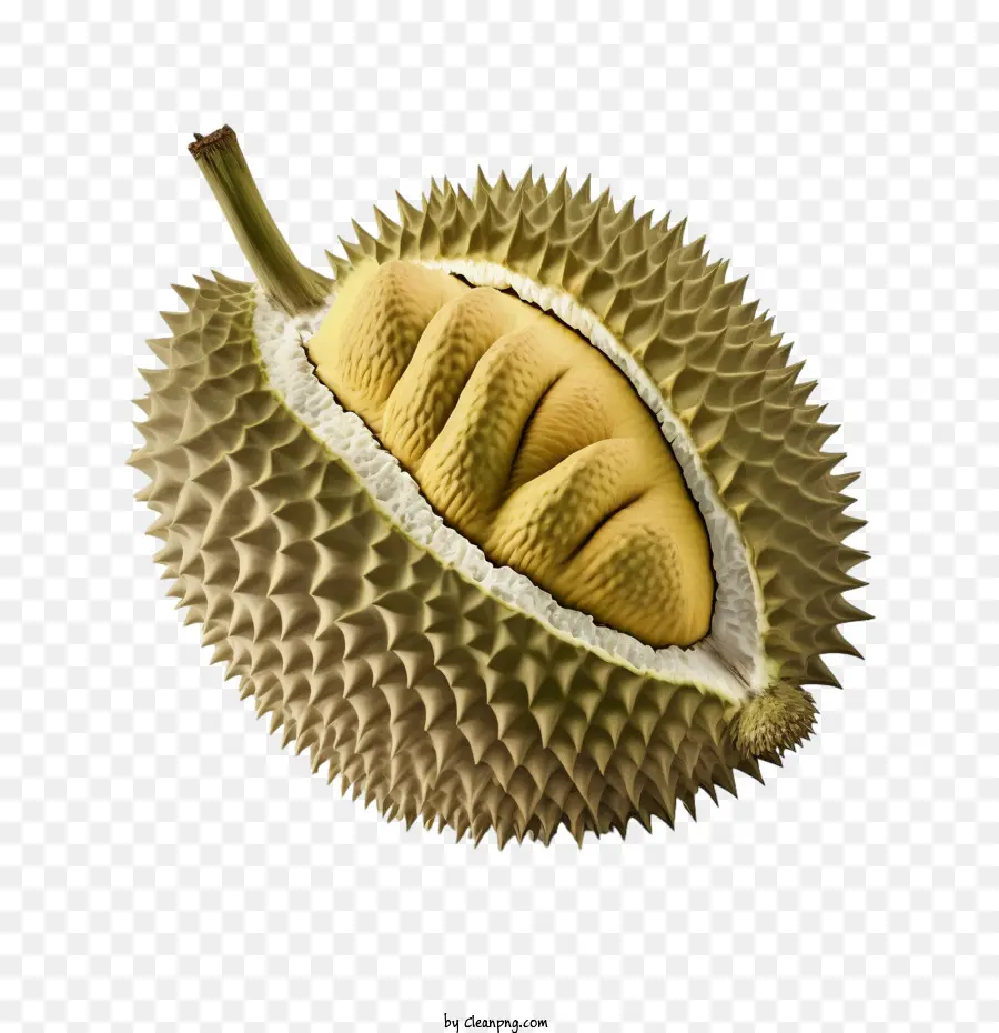 3d Durian，Durian PNG