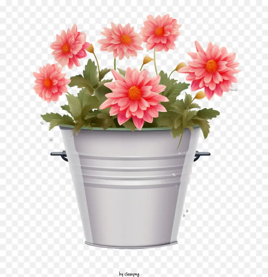 Dahlia，Pot Bunga PNG