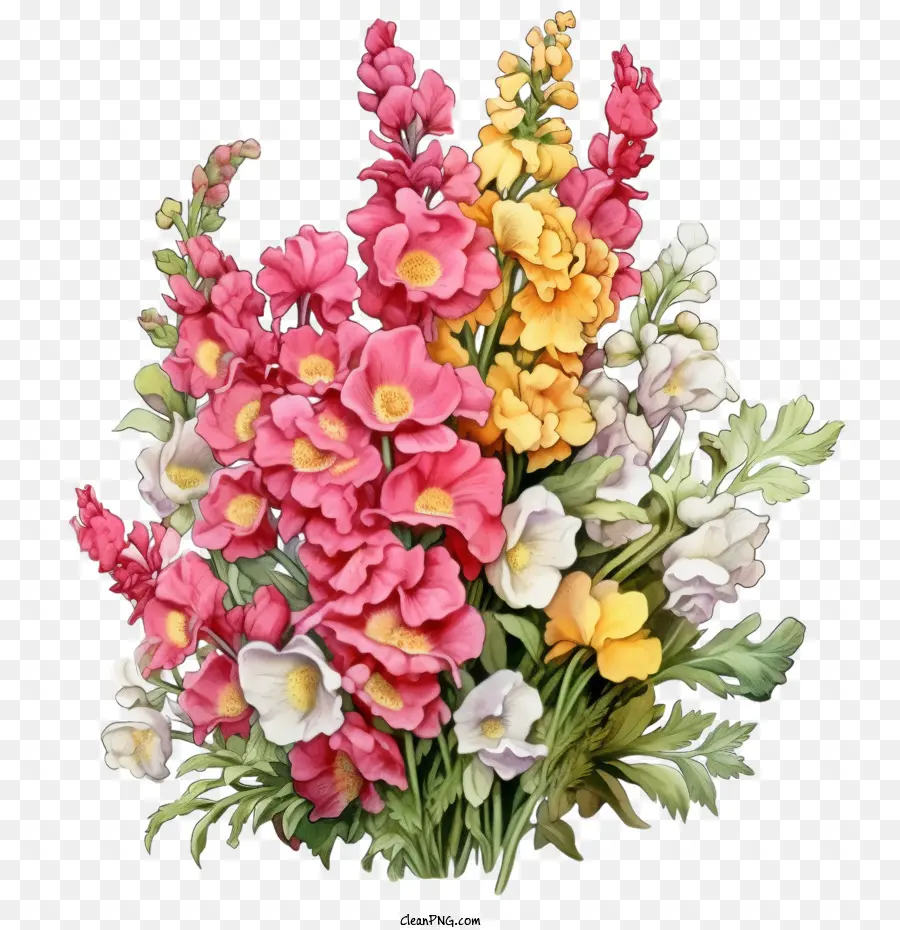 Snapdragon，Bunga Berwarna Warni PNG