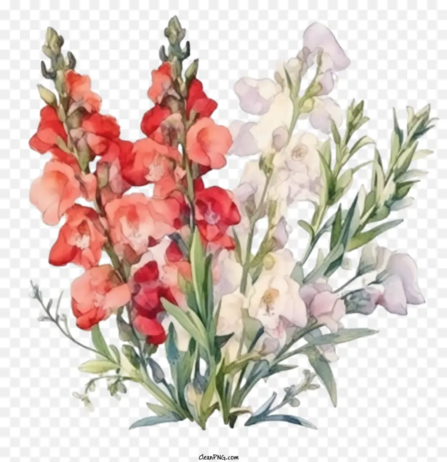 Snapdragon，Bunga Snapdragon PNG